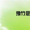 豫竹是哪个的品牌 豫竹是什么