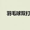 羽毛球双打规则 羽毛球双打规则是什么