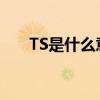 TS是什么意思 ts是什么意思网络用语