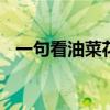 一句看油菜花的心情 看油菜花的心情句子