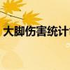 大脚伤害统计命令详解（大脚伤害统计命令）