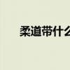 柔道带什么武器好（柔道带什么武器）