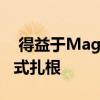  得益于Magisk开发人员安卓Q于今年年初正式扎根