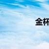 金杯阁瑞斯外观方面展示
