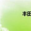 丰田普拉多标准功能如何