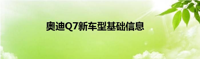 奥迪新车型基础信息