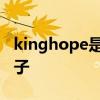 kinghope是哪个的品牌 kinghope是什么牌子