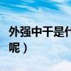 外强中干是什么意思啊（外强中干是什么意思呢）