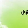 小赛车简笔画（小赛格）