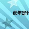 虎年是什么年份（虎年是什么年）
