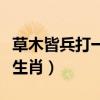 草木皆兵打一生肖最佳答案（草木皆兵打一个生肖）