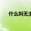 什么叫无主灯设计（什么叫无骨袜子）