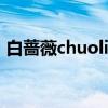 白蔷薇chuoline谁画的（白蔷薇 chuoline）