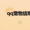 qq宠物结婚有什么用（qq宠物连连看）