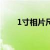 1寸相片尺寸是多少（1寸相片尺寸）