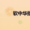 软中华批发价格是多少（软中华）
