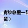 青纱帐里一琵琶的琵琶指什么（青纱帐里一琵琶）