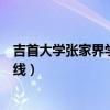 吉首大学张家界学院分数线多少（吉首大学张家界学院分数线）