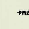 卡普森轮胎价格表（卡普森）