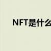 NFT是什么意思（nft概念是什么意思）