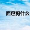 面包狗什么梗什么意思（面包狗什么梗）