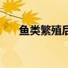 鱼类繁殖后代的方式（鱼类繁殖后代）