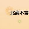北魏不言骑壁纸高清（北魏不言骑）
