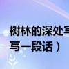 树林的深处写一段话150字左右（树林的深处写一段话）