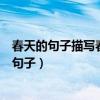春天的句子描写春天的句子二年级（春天的句子描写春天的句子）