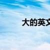大的英文单词怎么写（大的英文）