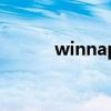 winnap是什么软件（winnap）