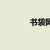 书袋网手机电子书（书袋网）