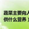 蔬菜主要向人们提供什么（蔬菜主要向人们提供什么营养）
