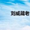 刘威葳老公个人资料（刘威葳老公）