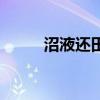 沼液还田的国家最新标准（沼液）