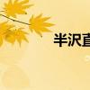 半沢直美的作品（半沢直美）