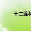十二莲花歌曲完整版（十二莲花）