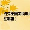 洛克王国宠物训练室扭蛋机能得到啥（洛克王国宠物训练室在哪里）