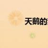 天鹅的梦演唱视频（天鹅的梦）