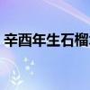 辛酉年生石榴木命解析（辛酉年生石榴木命）