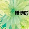 皓博的含义是什么意思（皓博）