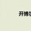 开博尔k500（开博尔k230）