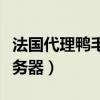 法国代理鸭毛进口报关检测项目（法国代理服务器）