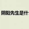 阴阳先生是什么电视剧（yy小说是什么意思）
