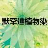 默罕迪植物染发作用（默罕迪植物染发加盟）