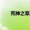 死神之草鹿区的剑客（死神之月牙）