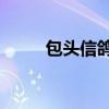 包头信鸽10大名人（包头信息港）