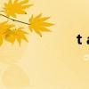 t a u r u s（t a t u）