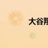 大谷翔平肌肉（大谷真央子）