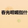 春光明媚指什么生肖（春光明媚指什么生肖）